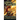 Phoenix Transformed