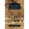 Cerulean Springs and the Springs of Western Kentucky