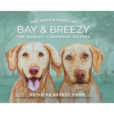 The Adventures of Bay & Breezy: Bringing Breezy Home