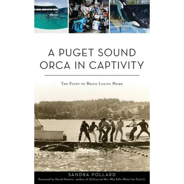 A Puget Sound Orca in Captivity: The Fight to Bring Lolita Home