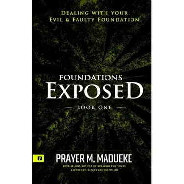 Foundations Exposed (Book 1): Dealing with your Evil & Faulty Foundation