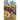 The Curious Clues