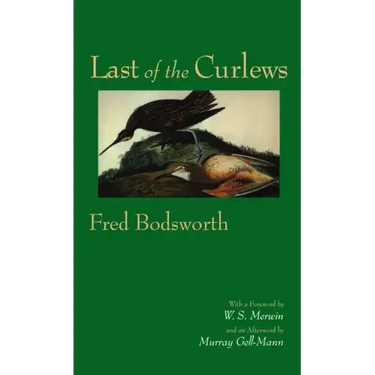 Last of the Curlews