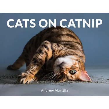 Cats on Catnip