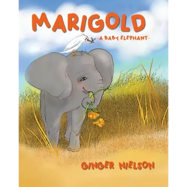 Marigold A Baby Elephant