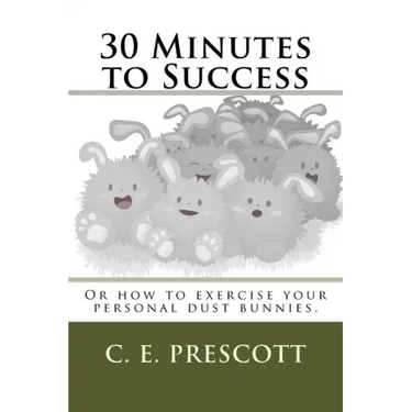 30 Minutes to Success: Or how to exercise your personal dust bunnies.