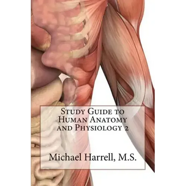 Study Guide to Human Anatomy and Physiology 2