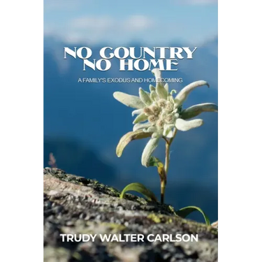 No Country No Home: A Family's Exodus and Homecoming