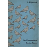 The Thoroughbred Racing Pigeon