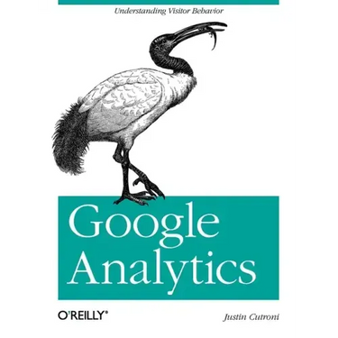 Google Analytics: Understanding Visitor Behavior