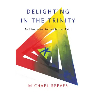 Delighting in the Trinity: An Introduction to the Christian Faith