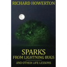 Sparks from Lightning Bugs and Other Life Lessons