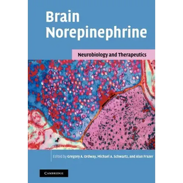 Brain Norepinephrine: Neurobiology and Therapeutics