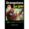 Orangutans For Kids