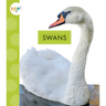 Swans
