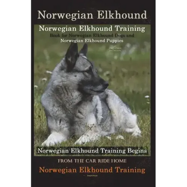 Norwegian Elkhound Training Book for Norwegian Elkhound Dogs & Norwegian Elkhound Puppies By D!G THIS DOG Training: Norwegian Elkhound Training Begins