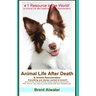 Animal Life After Death & Animal Reincarnation: Pet Loss Answers for all your heart's Questions!