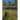 Kingdom of Longleaf