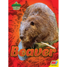 Beaver