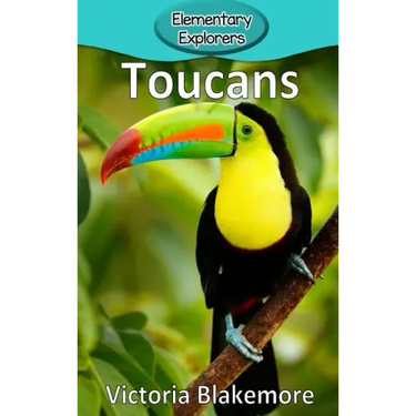 Toucans