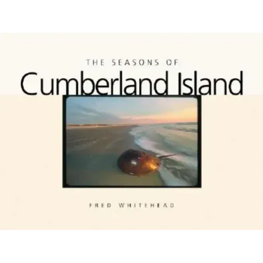The Seasons of Cumberland Island