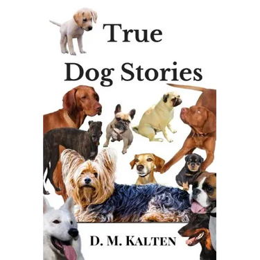 True Dog Stories: Short Stories from Days Gone By