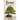Bonsai: The Complete and Comprehensive Guide for Beginners