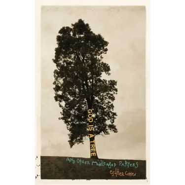 God Is a Tree: and Other Middle-Aged Prayers