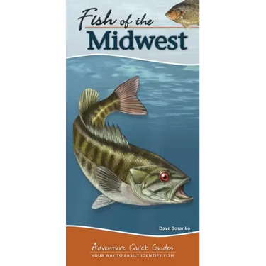 Fish of the Midwest: Your Way to Easily Identify Fish