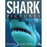 Shark Pictures (Shark Books for Kids)
