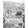 Mineral Belts of Western Sierra County New Mexico