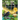 Oak, Crow, and Star: A Tale of Magical Friendships (Latest Edition)