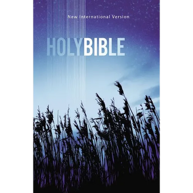Value Outreach Bible-NIV