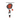 Coddiwompling Thoughts: A Collection of Poetry