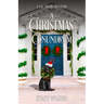 A Christmas Conundrum