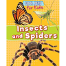 Insects and Spiders