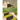 The Heights of Macchu Picchu