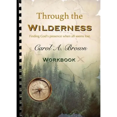 Through The wilderness WORKBOOK: A guided spiritual adventure through wilderness places.