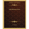 Life Between Lives
