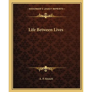 Life Between Lives