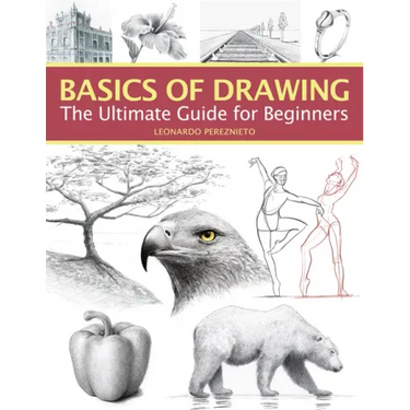 Basics of Drawing: The Ultimate Guide for Beginners
