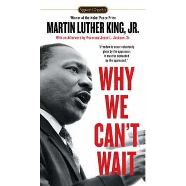 Why We Can't Wait