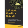 SAP Hana Cloud in a Nutshell: Design, Develop, and Deploy Data Models Using SAP Hana Cloud