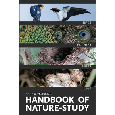 The Handbook Of Nature Study in Color - Birds
