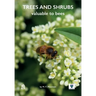 Trees and Shrubs Valuable to Bees