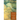 Letters of Old Age (Rerum Senilium Libri) Volume 2, Books X-XVIII