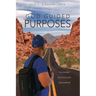 God Guided Purposes: The Journey Into Fulfilling Your Purpose