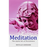 Meditation: The Joyful Art of Persistence