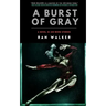 A Burst of Gray: A Novel in 100-Word Stories