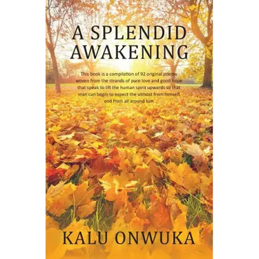 A Splendid awakening